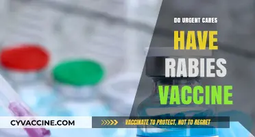 Do Urgent Cares Offer Rabies Vaccines? What You Need to Know