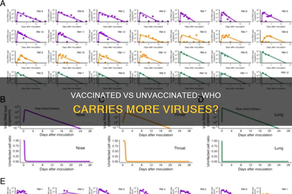 do vaccinated and unvaccinated carry the same viral load