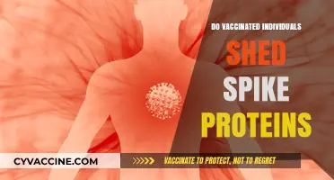 Vaccine Shedding Myth: Do Vaccinated People Release Spike Proteins?