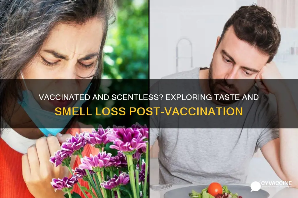 do vaccinated lose taste and smell