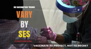 Socioeconomic Status and Vaccination Trends: Exploring Disparities in Immunization Rates