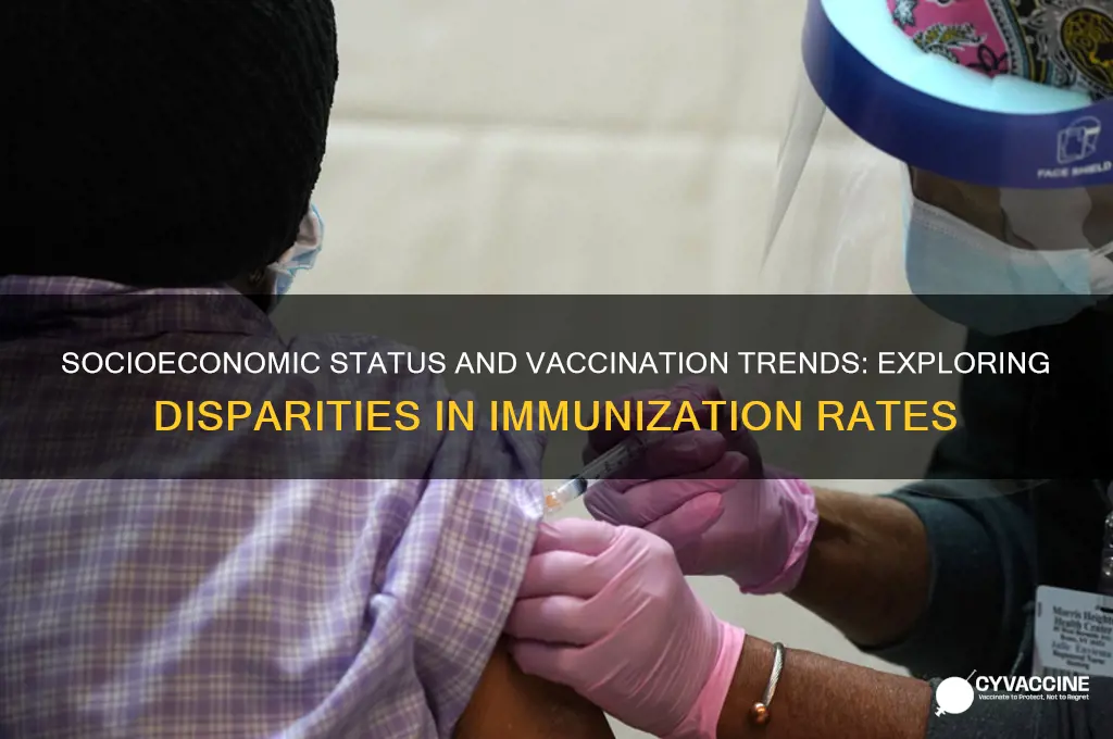 do vaccination trends vary by ses