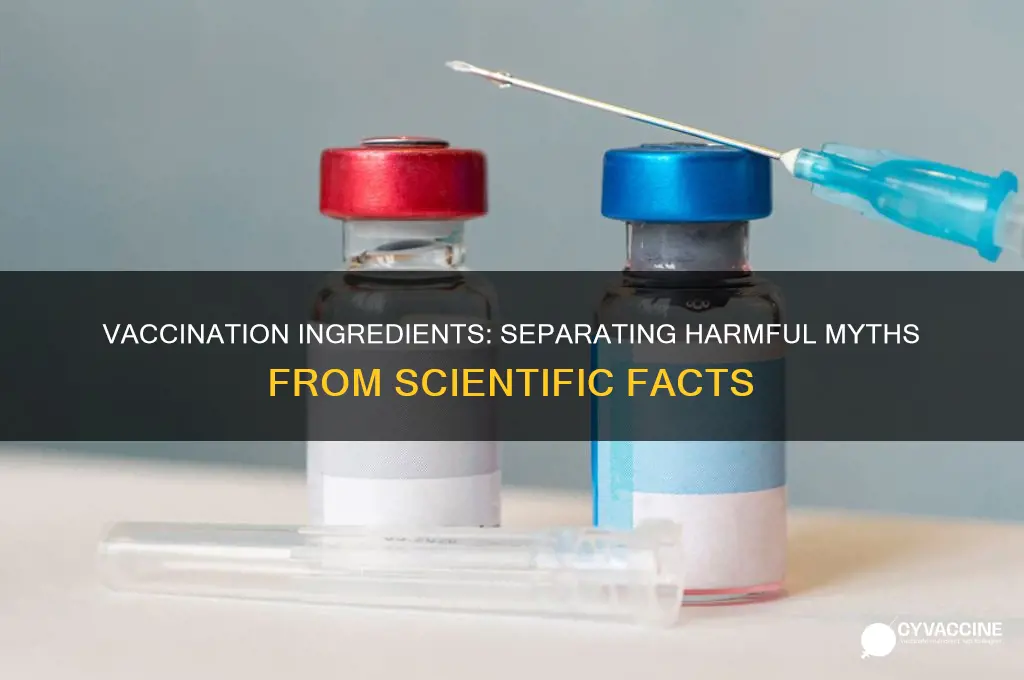 do vaccinations have harmful ingredients research