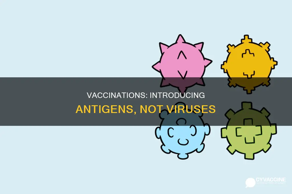 do vaccinations introduce the virus or an antigen associated