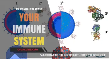 Vaccinations and Immunity: Debunking Myths About Immune System Impact
