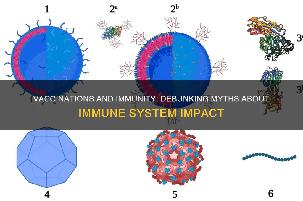 do vaccinations lower your immune system