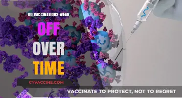 Do Vaccinations Wear Off? Understanding Immunity Duration and Booster Needs