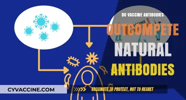 Vaccine vs. Natural Antibodies: Which Dominates Immune Response?