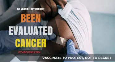Vaccine Safety: Cancer-Free, Evaluated and Safe