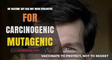 Vaccine Safety: No Carcinogenic or Mutagenic Effects