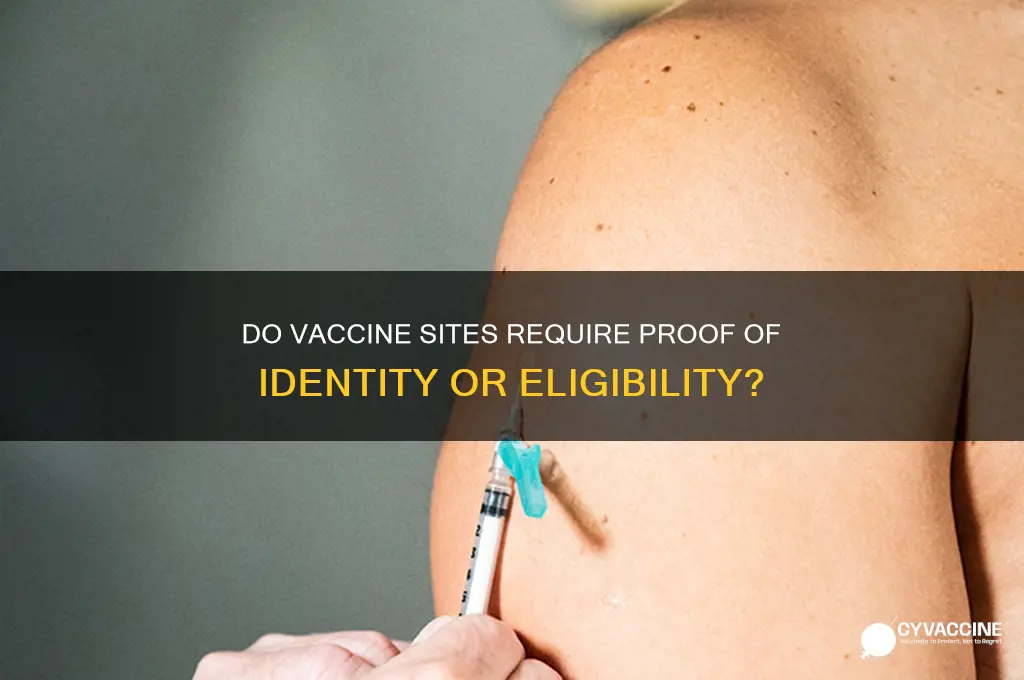 do vaccine sites ask for proof