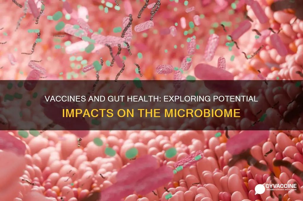 do vaccine tisrupt the gut biome