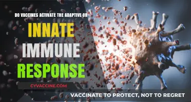Vaccines: Activating Our Adaptive Defenses