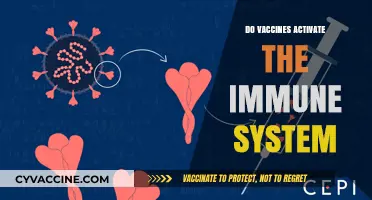 How Vaccines Boost Immune Response: Unlocking the Science Behind Immunity