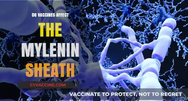 Vaccines and Myelin Sheath: Unraveling the Scientific Connection