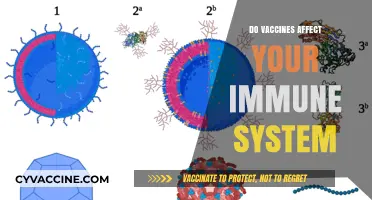 Vaccines and Immunity: Strengthening or Compromising Your Immune System?
