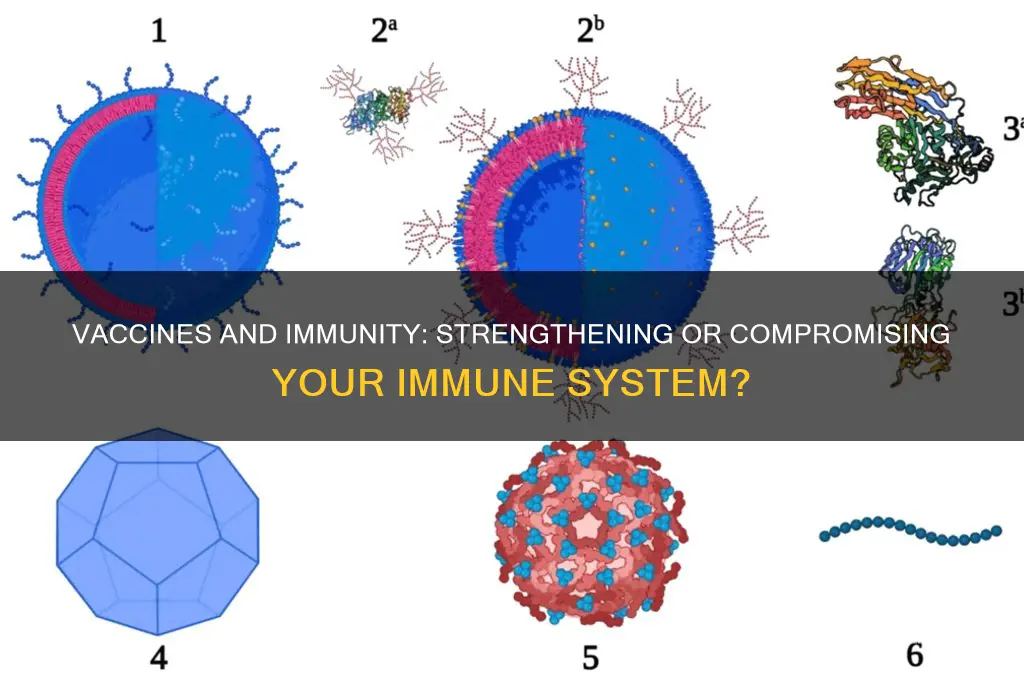 do vaccines affect your immune system