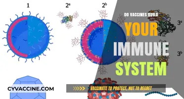 Boosting Immunity: How Vaccines Strengthen Your Body's Defense System