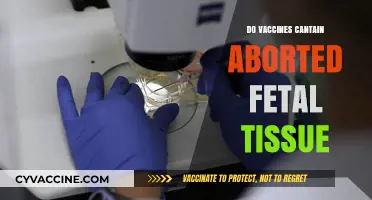 Debunking Myths: Do Vaccines Contain Aborted Fetal Tissue?