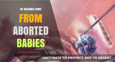 Debunking Myths: The Truth About Vaccines and Fetal Cells