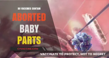 Vaccines and Fetal Cells: Separating Fact from Fiction in Medicine