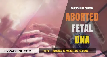 Vaccines and Fetal DNA: Separating Fact from Fiction
