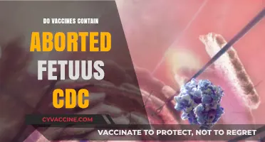 Debunking Myths: Do Vaccines Contain Aborted Fetus Cells? CDC Explains