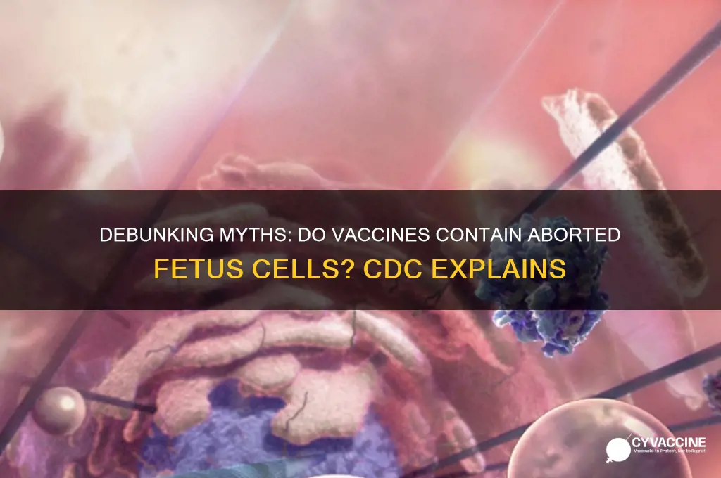 do vaccines contain aborted fetuus cdc