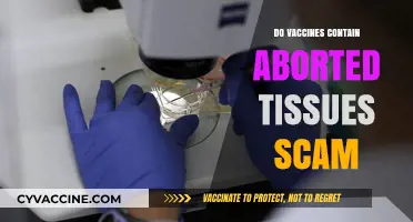 Debunking the Myth: Do Vaccines Contain Aborted Fetal Tissue?