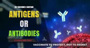 Vaccines: Understanding the Role of Antigens vs. Antibodies in Immunity