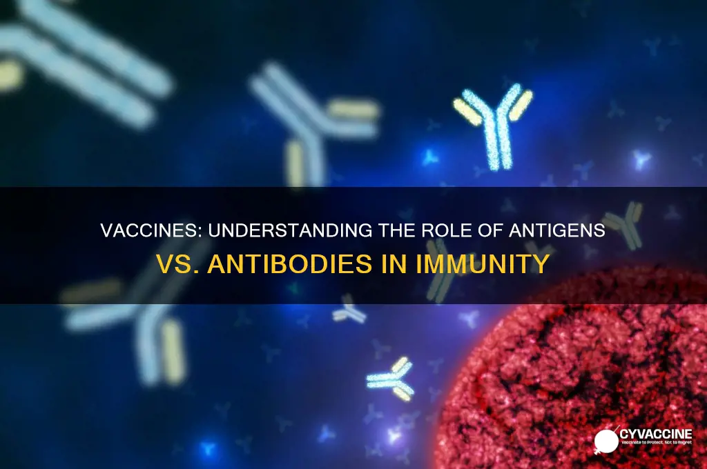 do vaccines contain antigens or antibodies