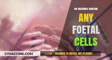Do Vaccines Contain Foetal Cells? Unraveling the Facts and Myths