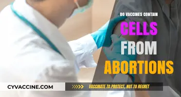 Vaccines and Abortion-Derived Cells: Separating Fact from Fiction