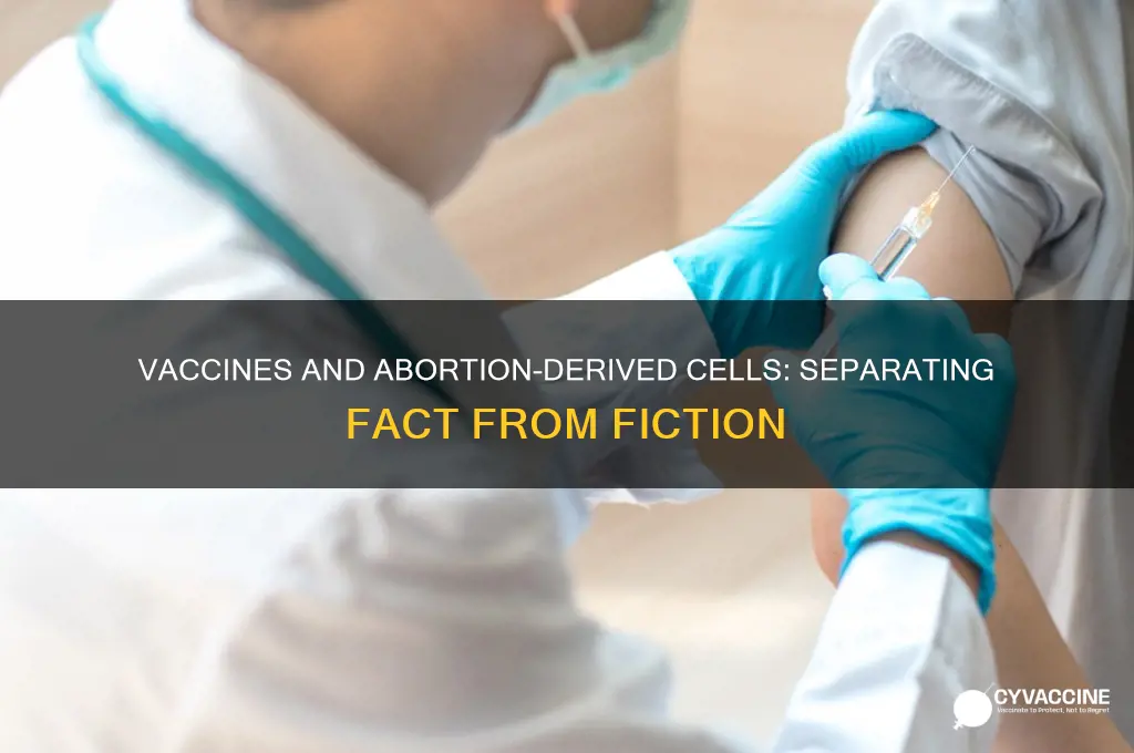 do vaccines contain cells from abortions