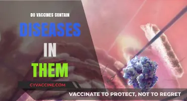 Do Vaccines Contain Diseases? Unraveling the Science Behind Immunization