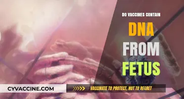 Vaccines and Fetal DNA: Separating Fact from Fiction