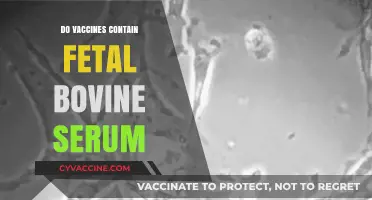 Do Vaccines Contain Fetal Bovine Serum? Unraveling the Facts