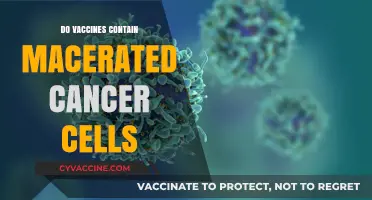 Debunking Myths: Do Vaccines Contain Macerated Cancer Cells?