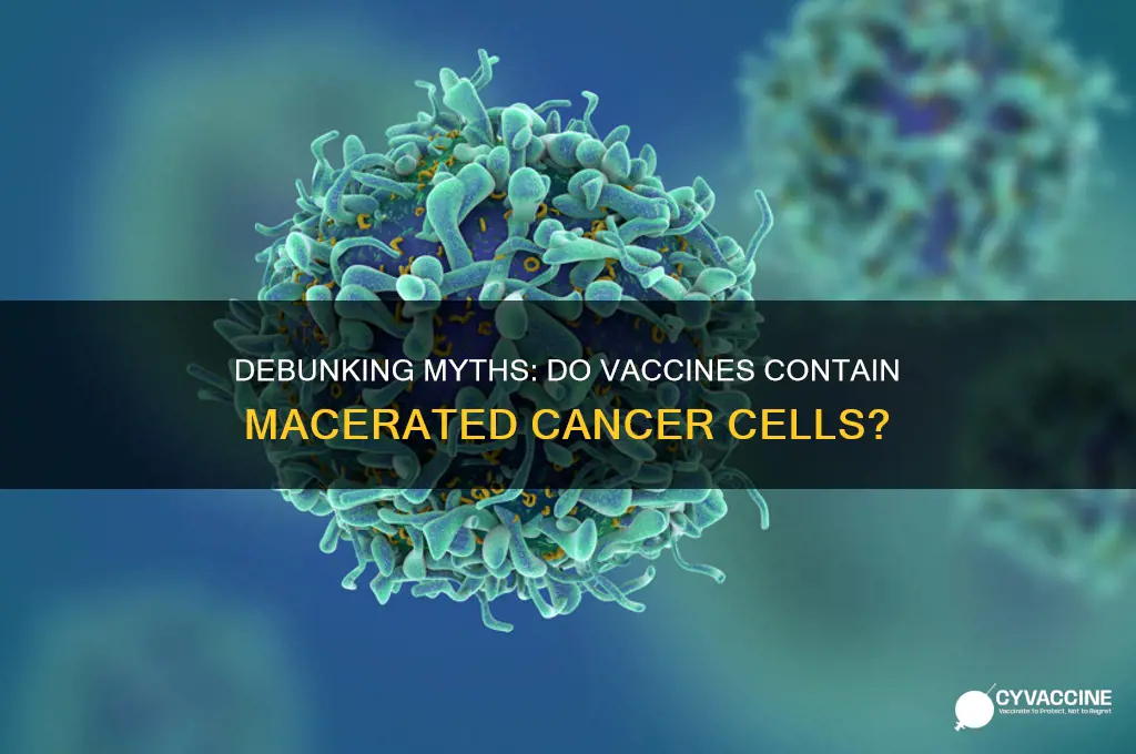 do vaccines contain macerated cancer cells
