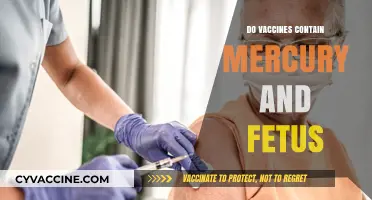 Vaccines, Mercury, and Fetus: Separating Fact from Fiction