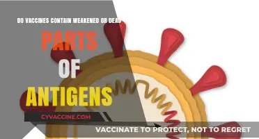 Vaccines: Weakened or Dead Antigens?