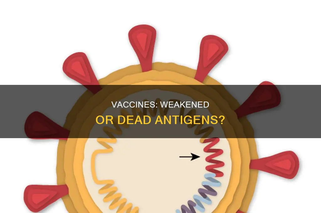 do vaccines contain weakened or dead parts of antigens