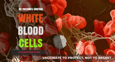Do Vaccines Contain White Blood Cells? Debunking Common Myths