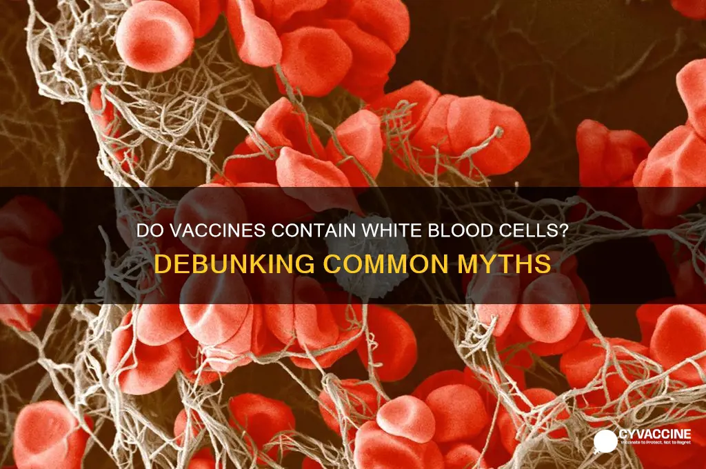 do vaccines contain white blood cells
