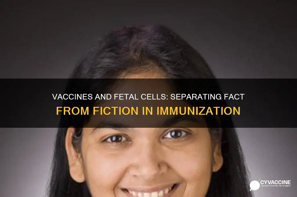 do vaccines contian aborted baby material