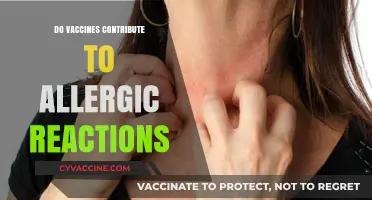 Vaccines and Allergic Reactions: Unraveling the Facts and Misconceptions