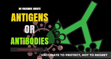 Vaccines: Do They Create Antigens or Antibodies? Understanding the Science