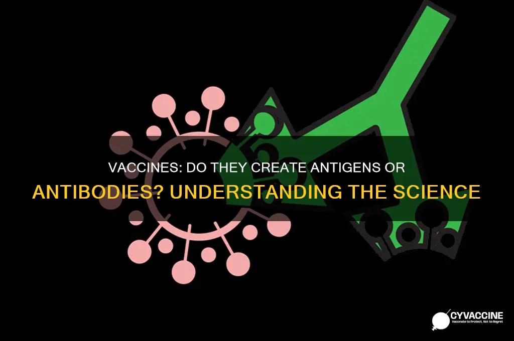 do vaccines create antigens or antibodies