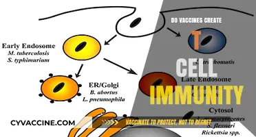 Do Vaccines Build Lasting T-Cell Immunity? Exploring the Science