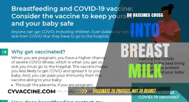 Vaccines and Breast Milk: What Nursing Moms Need to Know